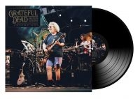 Grateful Dead - Mountain View 1994 Vol.1 (2 Lp Viny i gruppen VI TIPSAR / Fredagsreleaser / Fredag den 21:a Juni 2024 hos Bengans Skivbutik AB (5549971)