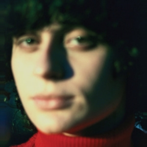 Ana Frango Eletrico - Little Electric Chicken Heart i gruppen ÖVRIGT / Övrigt / aub hos Bengans Skivbutik AB (5551049)