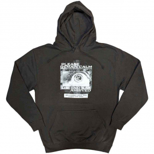 Bring Me The Horizon - Remain Calm Fp Uni Grey Hoodie i gruppen ÖVRIGT / Övrigt / aub hos Bengans Skivbutik AB (5552115r)