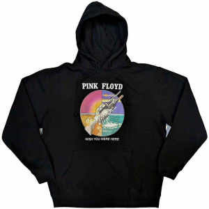 Pink Floyd - Wywh Circle Icons Uni Bl Hoodie i gruppen ÖVRIGT / Övrigt / aub hos Bengans Skivbutik AB (5553932r)