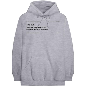 The 1975 - Abiior V2 Uni Grey Hoodie i gruppen MERCHANDISE / Hoodies / Pop-Rock hos Bengans Skivbutik AB (5555301r)