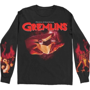 Warner Bros - Gremlins What It Seems Bl Longsleeve  i gruppen MERCHANDISE / T-shirt / Film-Musikal hos Bengans Skivbutik AB (5555675r)