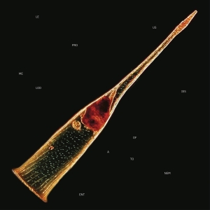 Leprous - Melodies Of Atonement i gruppen CD / Pop-Rock hos Bengans Skivbutik AB (5555708)