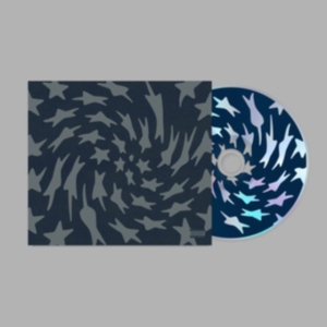 Toro Y Moi - Hole Erth i gruppen VI TIPSAR / Fredagsreleaser / Fredag den 6:e september 2024 hos Bengans Skivbutik AB (5555736)