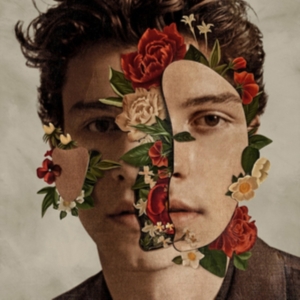 Shawn Mendes - The Album i gruppen Minishops / Shawn Mendes hos Bengans Skivbutik AB (5556120)