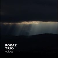 Pokaz Trio - Voices i gruppen VI TIPSAR / Fredagsreleaser / Fredag den 2:e augusti hos Bengans Skivbutik AB (5556506)