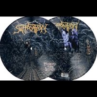 Suffocation - Pierced From Within i gruppen VI TIPSAR / Fredagsreleaser / Fredag den 9:e augusti hos Bengans Skivbutik AB (5557152)