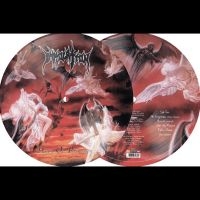 Immolation - Dawn Of Possession i gruppen VI TIPSAR / Fredagsreleaser / Fredag den 9:e augusti hos Bengans Skivbutik AB (5557153)