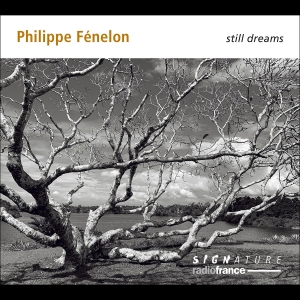 Philippe Fénelon - Still Dreams i gruppen VI TIPSAR / Fredagsreleaser / Fredag den 23:e augusti hos Bengans Skivbutik AB (5558110)