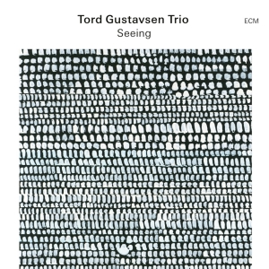 Tord Gustavsen Trio - Seeing i gruppen CD / Kommande / Jazz,Norsk Musik hos Bengans Skivbutik AB (5558451)