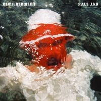 Pale Jay - Bewilderment i gruppen VI TIPSAR / Julklappstips Vinyl hos Bengans Skivbutik AB (5561284)