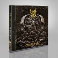 Defeated Sanity - Chronicles Of Lunacy i gruppen CD / Kommande / Hårdrock hos Bengans Skivbutik AB (5562094)