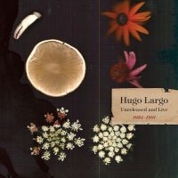 Largo Hugo - Huge, Large And Electric: Hugo Larg i gruppen VI TIPSAR / Fredagsreleaser / Fredag den 4:e oktober 2024 hos Bengans Skivbutik AB (5562651)