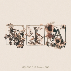Sia - Colour The Small One i gruppen VI TIPSAR / Fredagsreleaser / Fredag den 6:e september 2024 hos Bengans Skivbutik AB (5562920)