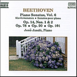 Beethoven Ludwig Van - Piano Sonatas Vol 6 i gruppen Externt_Lager / Naxoslager hos Bengans Skivbutik AB (556370)