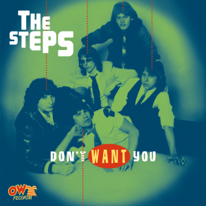 The Steps - Don't Want You i gruppen VI TIPSAR / Fredagsreleaser / Fredag den 30:e augusti 2024 hos Bengans Skivbutik AB (5563745)