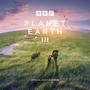 Bbc Earth  - 2025 Square Calendar  i gruppen MERCHANDISE / Merch / Nyheter / TV-serie hos Bengans Skivbutik AB (5563858)