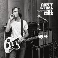 Various Artists - Can't Steal My Fire: The Songs Of D i gruppen VINYL / Kommande / Pop-Rock hos Bengans Skivbutik AB (5563961)