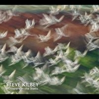 Kilbey Steve - Whispers In The Static i gruppen CD / Kommande / Pop-Rock hos Bengans Skivbutik AB (5564109)