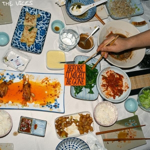 The Vices - Before It Might Be Gone i gruppen ÖVRIGT / Övrigt / aub hos Bengans Skivbutik AB (5564770)