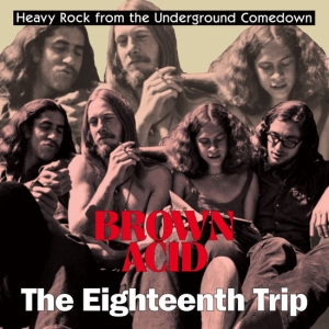 Various Artists -  Brown Acid: The 18Th Trip i gruppen VINYL / Hårdrock hos Bengans Skivbutik AB (5565676)