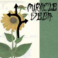 Miracle Debt - Under The Shadow i gruppen VINYL / Kommande / Pop-Rock hos Bengans Skivbutik AB (5565841)