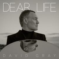 David Gray - Dear Life i gruppen VINYL / Kommande / Pop-Rock hos Bengans Skivbutik AB (5565975)