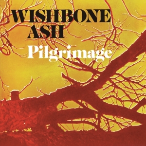 Wishbone Ash - Pilgrimage i gruppen ÖVRIGT / Övrigt / aub hos Bengans Skivbutik AB (5566347)