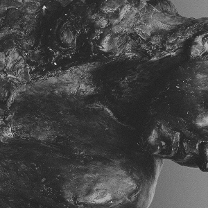 Mother - Ii i gruppen ÖVRIGT / Övrigt / aub hos Bengans Skivbutik AB (5566360)