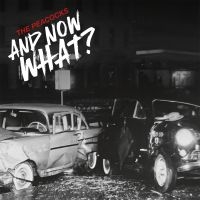 Peacocks The - And Now What? (Coloured Vinyl Lp) i gruppen VINYL / Kommande / Pop-Rock hos Bengans Skivbutik AB (5566784)