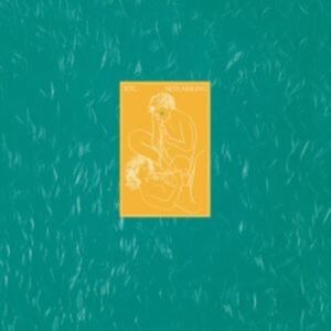 Xtc - Skylarking (2016 Steven Wilson Mix) i gruppen VI TIPSAR / Fredagsreleaser / Fredag den 6:e december 2024 hos Bengans Skivbutik AB (5566785)
