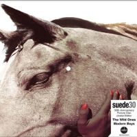 Suede - The Wild Ones (30Th Anniversary Edi i gruppen VINYL / Kommande / Pop-Rock hos Bengans Skivbutik AB (5567988)