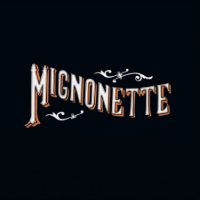 Avett Brothers The - Mignonette i gruppen VINYL / Kommande / Country,Svensk Folkmusik hos Bengans Skivbutik AB (5568081)