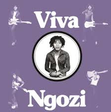 Paul  Ngozi - Viva Ngozi (Opaque Orange Vinyl) (Rsd) i gruppen VI TIPSAR / Record Store Day / RSD BF 2024 hos Bengans Skivbutik AB (5568345)