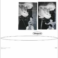 Vegyn - Only Diamonds Cut Diamonds (5 Year i gruppen VINYL / Kommande / Pop-Rock hos Bengans Skivbutik AB (5568506)