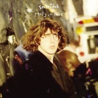 Sentridoh - Really Insane : A Lou Barlow Compen i gruppen VI TIPSAR / Fredagsreleaser / Fredag den 15:e november 2024 hos Bengans Skivbutik AB (5568524)