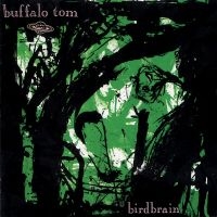 Buffalo Tom - Birdbrain i gruppen VI TIPSAR / Fredagsreleaser / Fredag den 8:e november 2024 hos Bengans Skivbutik AB (5569207)