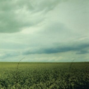 Antarctica - 23:03 (Coke Bottle Clear Vinyl) i gruppen VI TIPSAR / Fredagsreleaser / Fredag den 13:e december 2024 hos Bengans Skivbutik AB (5569538)