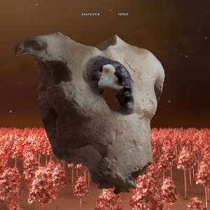 Soap&Skin - Torso i gruppen VI TIPSAR / Fredagsreleaser / Fredag den 22:a november 2024 hos Bengans Skivbutik AB (5570942)