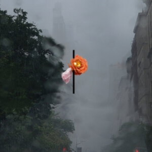 Rosenbaum August - Songs People Together (Clear Vinyl) i gruppen ÖVRIGT / Övrigt / aub hos Bengans Skivbutik AB (5571085)