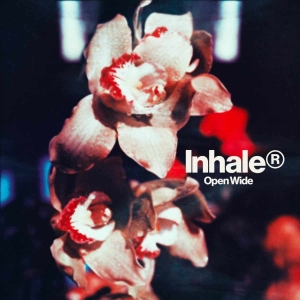 Inhaler - Open Wide i gruppen CD / Kommande / Pop-Rock hos Bengans Skivbutik AB (5571588)