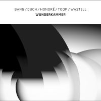 Bang / Duch / Honoré / Toop / Waste - Wunderkammer i gruppen VINYL / Kommande / Jazz hos Bengans Skivbutik AB (5572219)