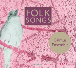 Traditional - Folk Songs i gruppen VI TIPSAR / Julklappstips CD hos Bengans Skivbutik AB (5572353)