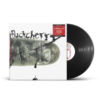 Buckcherry - 15 (Black Vinyl Lp) i gruppen VINYL / Kommande / Hårdrock hos Bengans Skivbutik AB (5572365)