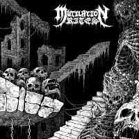 Mutilation Rites - Chasm i gruppen VINYL / Hårdrock hos Bengans Skivbutik AB (5572551)