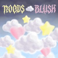 Noods - Blush i gruppen Pop-Rock hos Bengans Skivbutik AB (5572606)