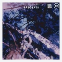 Wallace Eli - Precepts i gruppen Pop-Rock hos Bengans Skivbutik AB (5572725)