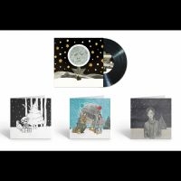 Wilson Steven - December Skies i gruppen VINYL / Kommande / Pop-Rock hos Bengans Skivbutik AB (5573504)