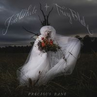 Jim White - Precious Bane i gruppen VINYL / Kommande / Pop-Rock hos Bengans Skivbutik AB (5573506)