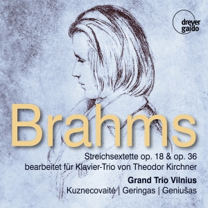 Grand Trio Vilnius - Johannes Brahms: String Sextets Opp i gruppen VI TIPSAR / Julklappstips CD hos Bengans Skivbutik AB (5573902)